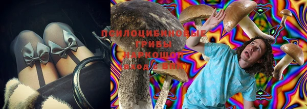 ГАЛЛЮЦИНОГЕННЫЕ ГРИБЫ Абинск