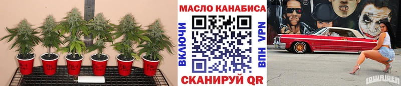 ТГК THC oil  KRAKEN ссылка  Абаза 