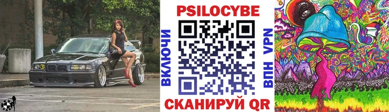 купить наркотик  Абаза  Галлюциногенные грибы MAGIC MUSHROOMS 